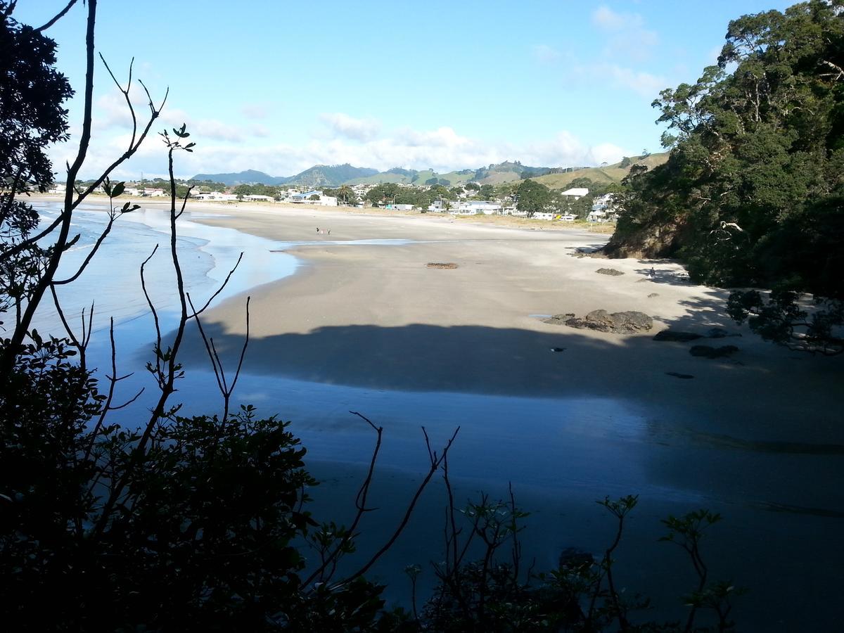 Bed and Breakfast Kotare Ridge Waihi Exterior foto